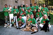 000305-dg-01-small