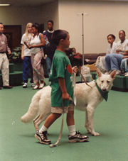 020213-gb-01-small